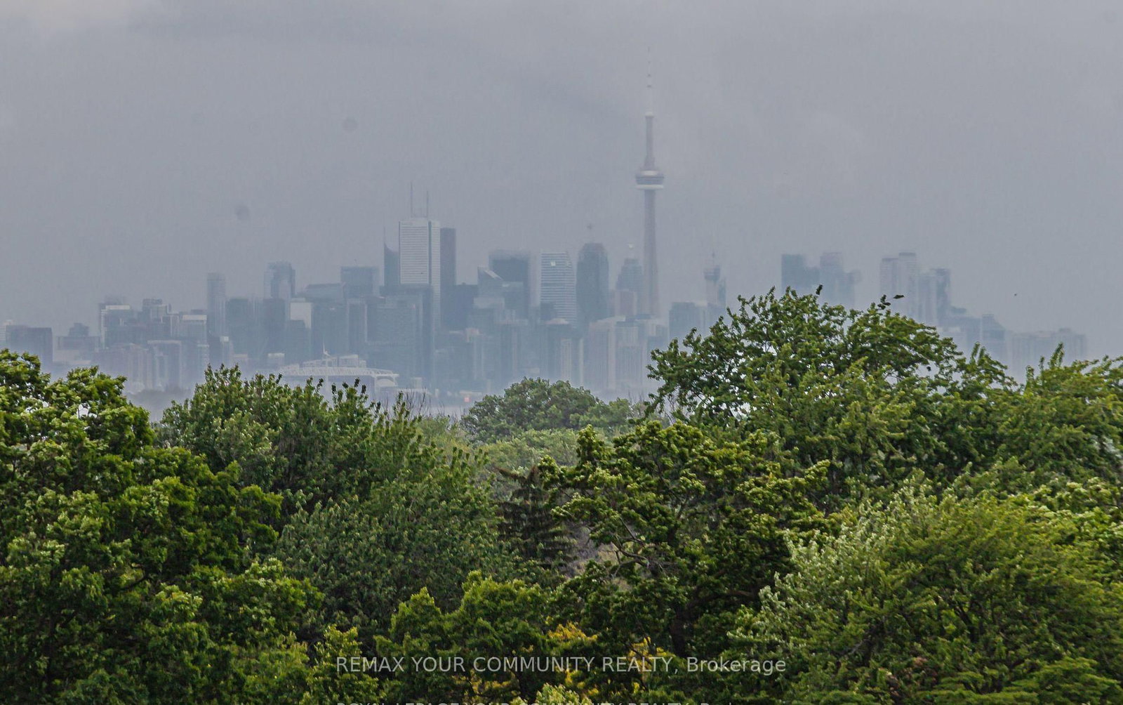 28 Ann Street, Unit 806 - Photo 14