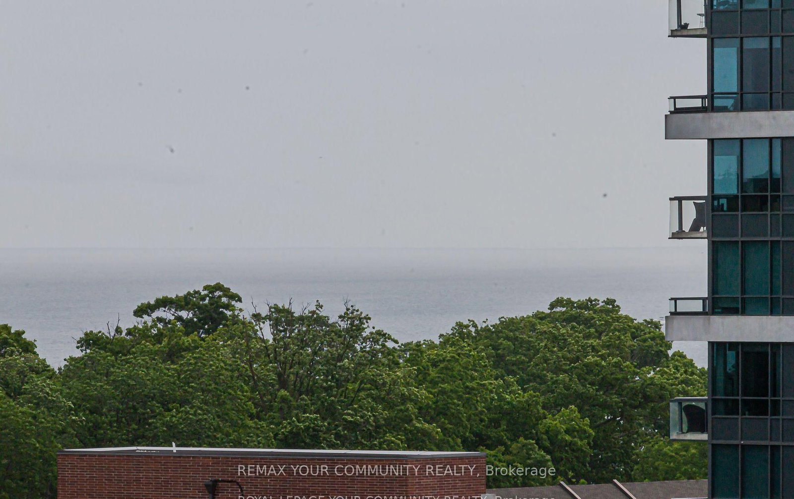 28 Ann Street, Unit 806 - Photo 15