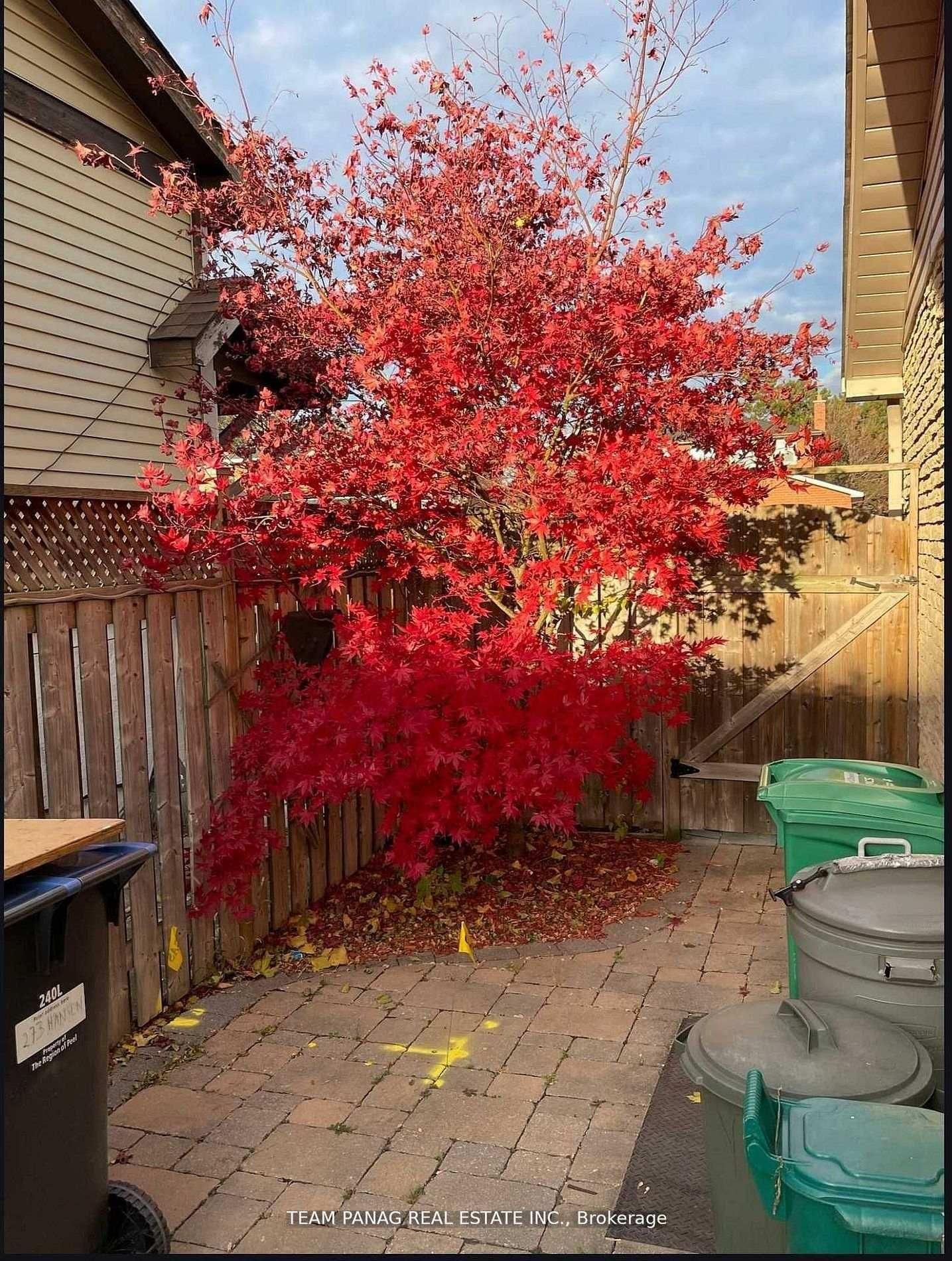 Semi-Detached House for sale at 273 Hansen Road, Brampton, Ontario, L6V 2T5 - Madoc - MLS: W13012440