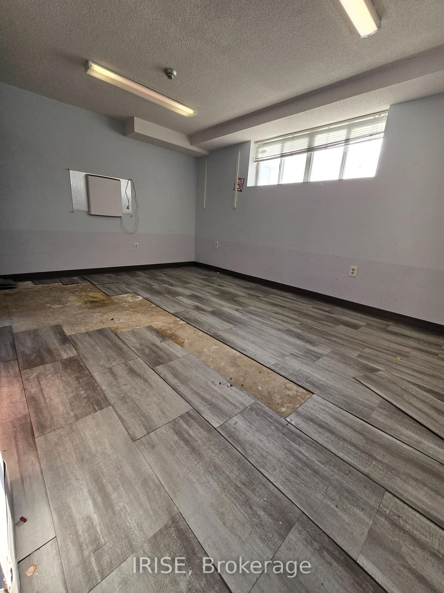 3825 Bloor Street W, Unit bsmt - Photo 16