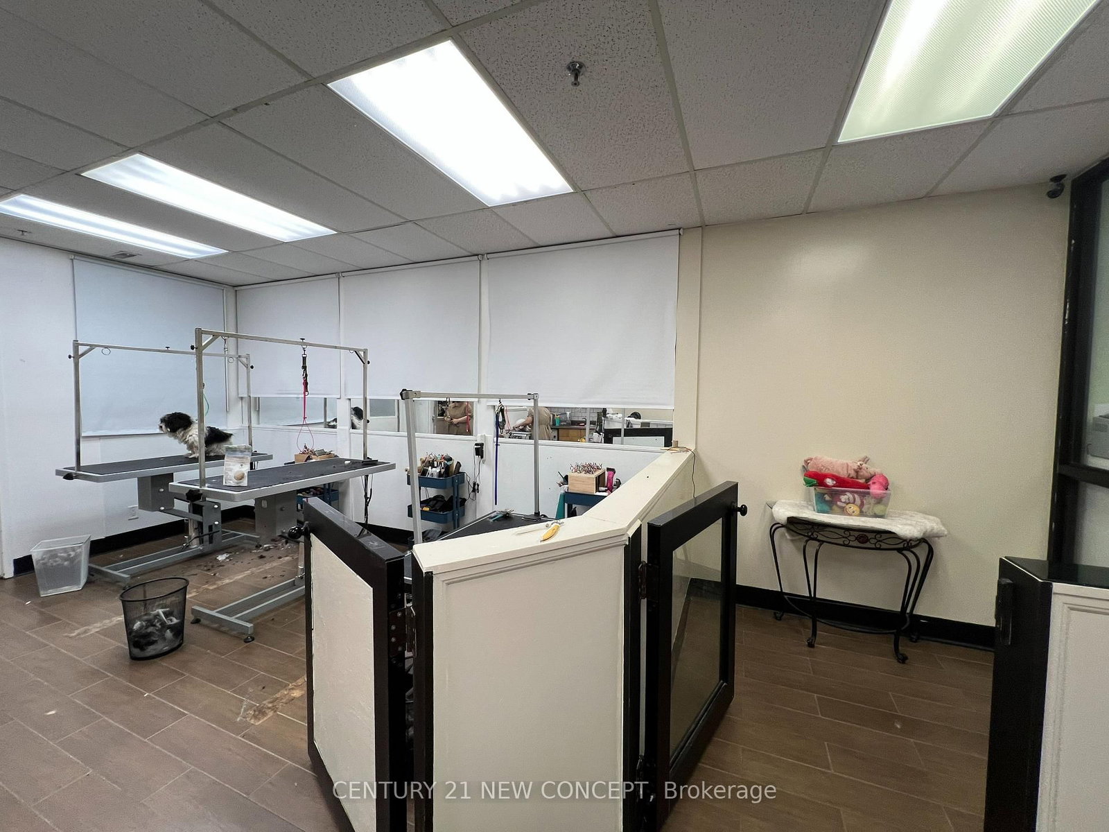 1107 Lorne Park Road, Unit 21 - Photo 7