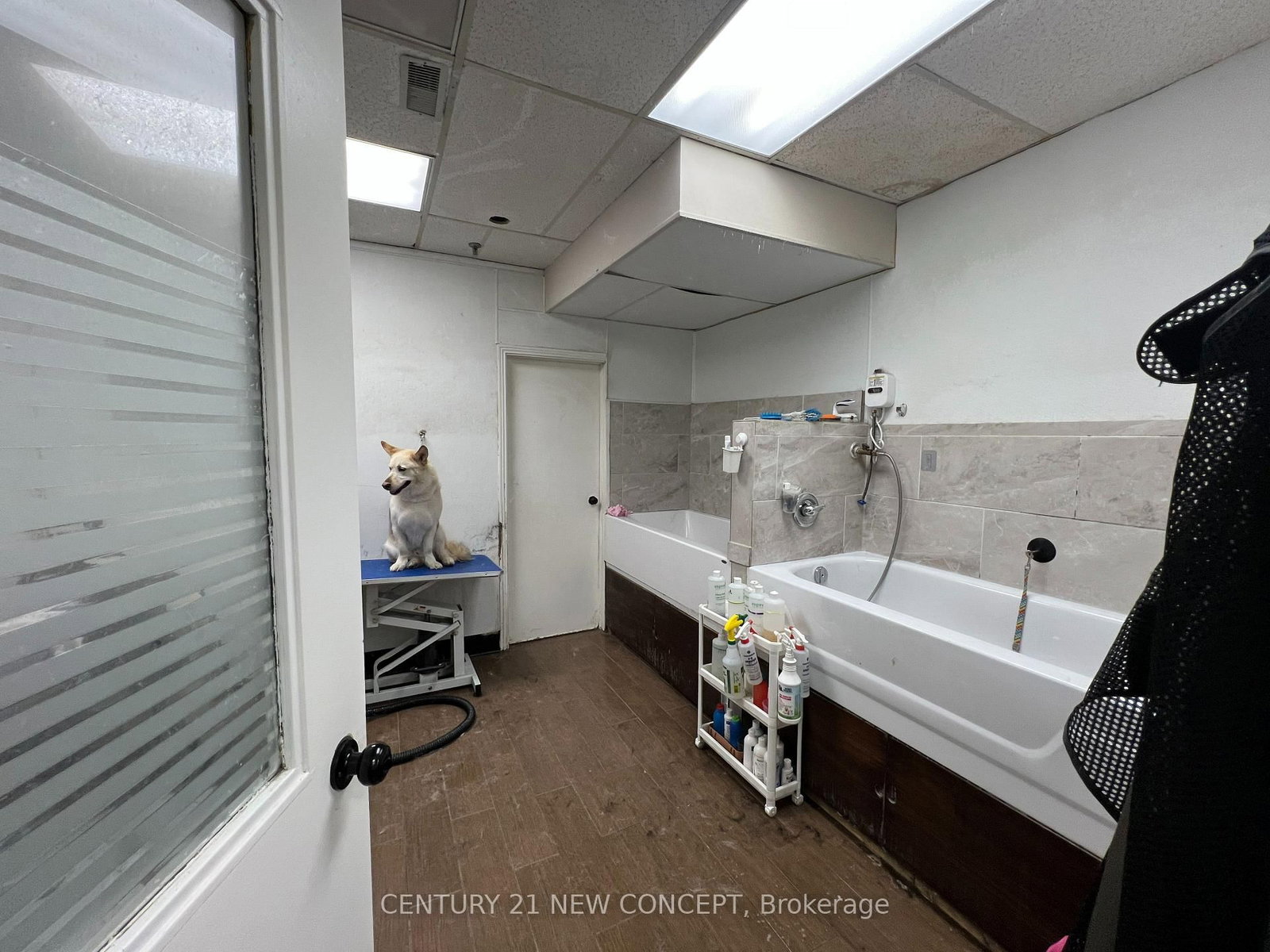 1107 Lorne Park Road, Unit 21 - Photo 8