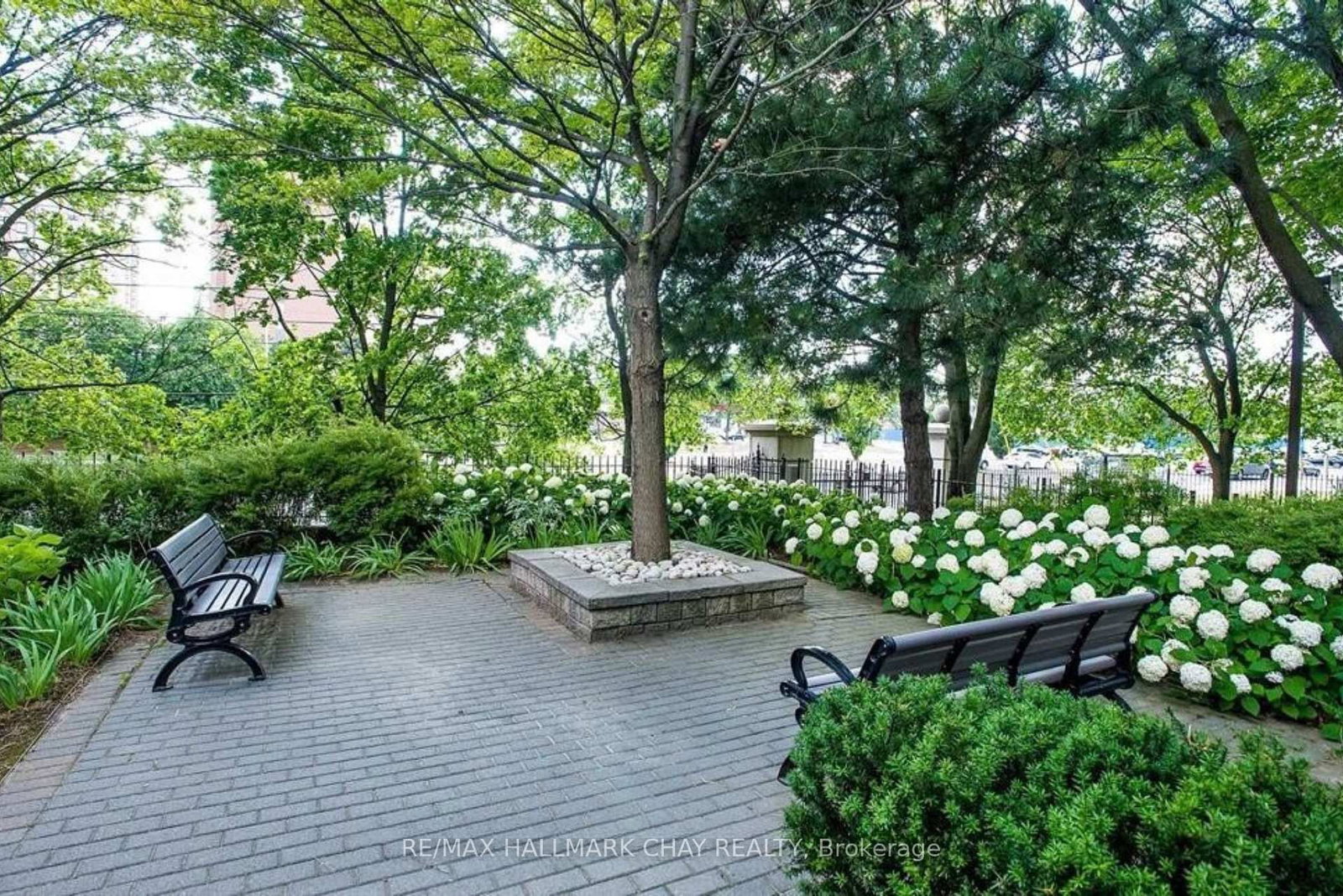 3650 Kaneff Crescent, Unit 501 - Photo 42