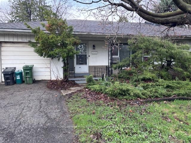 994 Kipling Avenue - Photo 11