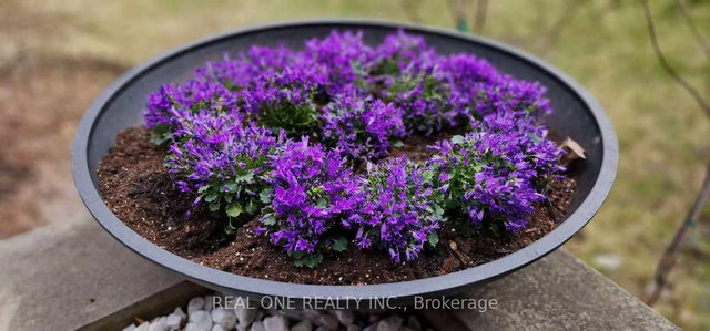 3537 Enniskillen Circle