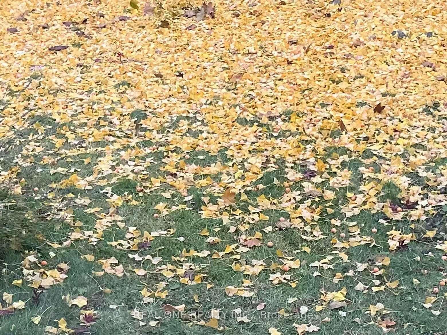 3537 Enniskillen Circle - Photo 5