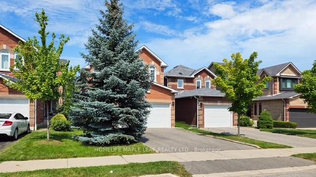 7 Colleyville St, Brampton, L7A 1H3 | Image 3