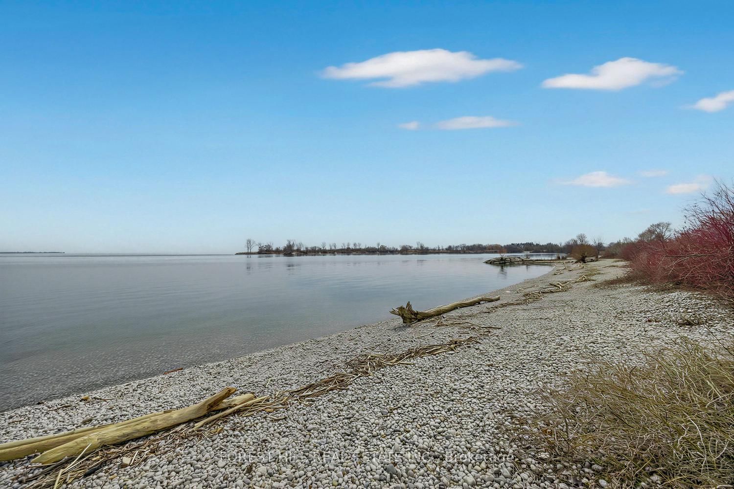 2111 Lake Shore Boulevard W, Unit 802 - Photo 31