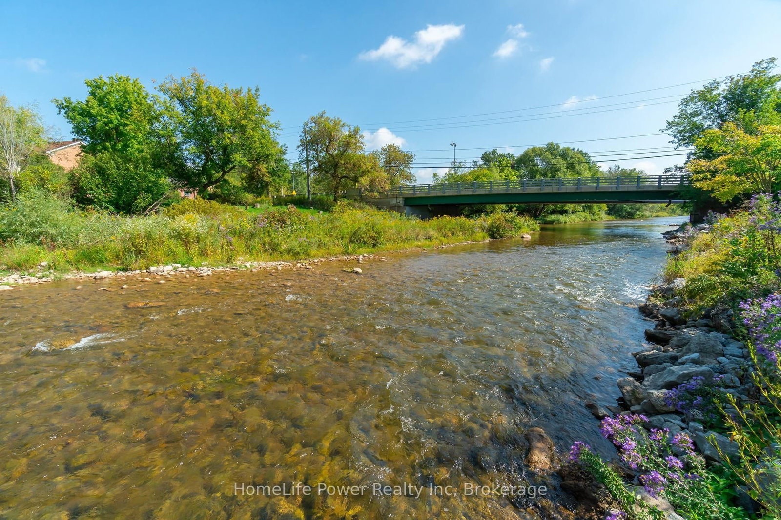 14 Erin Street - Photo 46