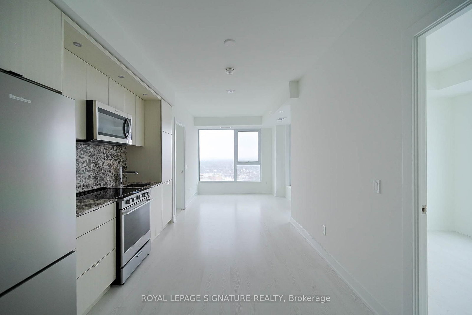 60 Central Park Road Way, Unit 1704 - Photo 4