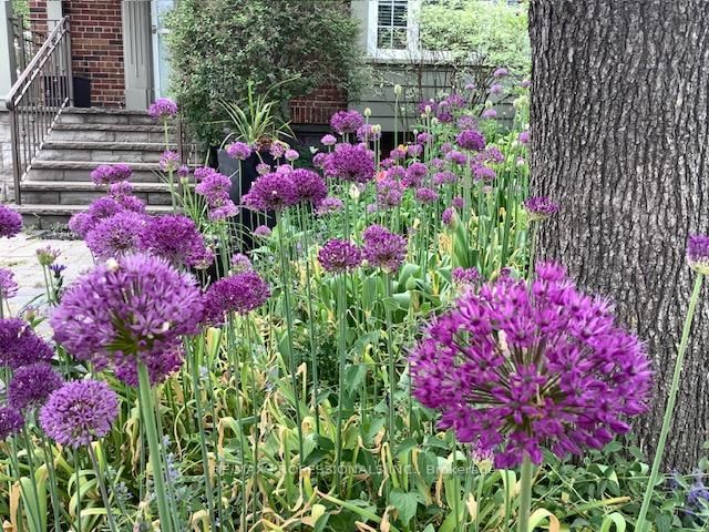 46 Twentieth St, Toronto, M8V 3L6 | Image 3