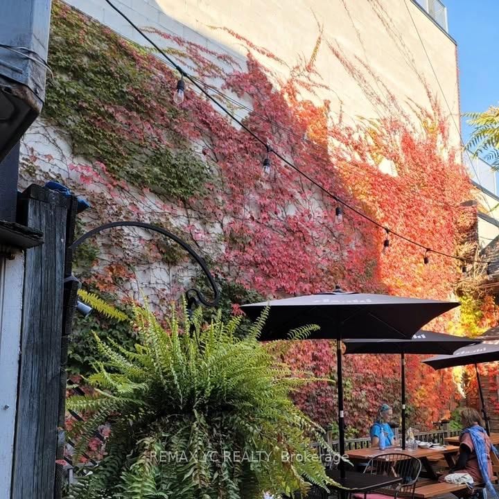 293 Roncesvalles Avenue - Photo 9