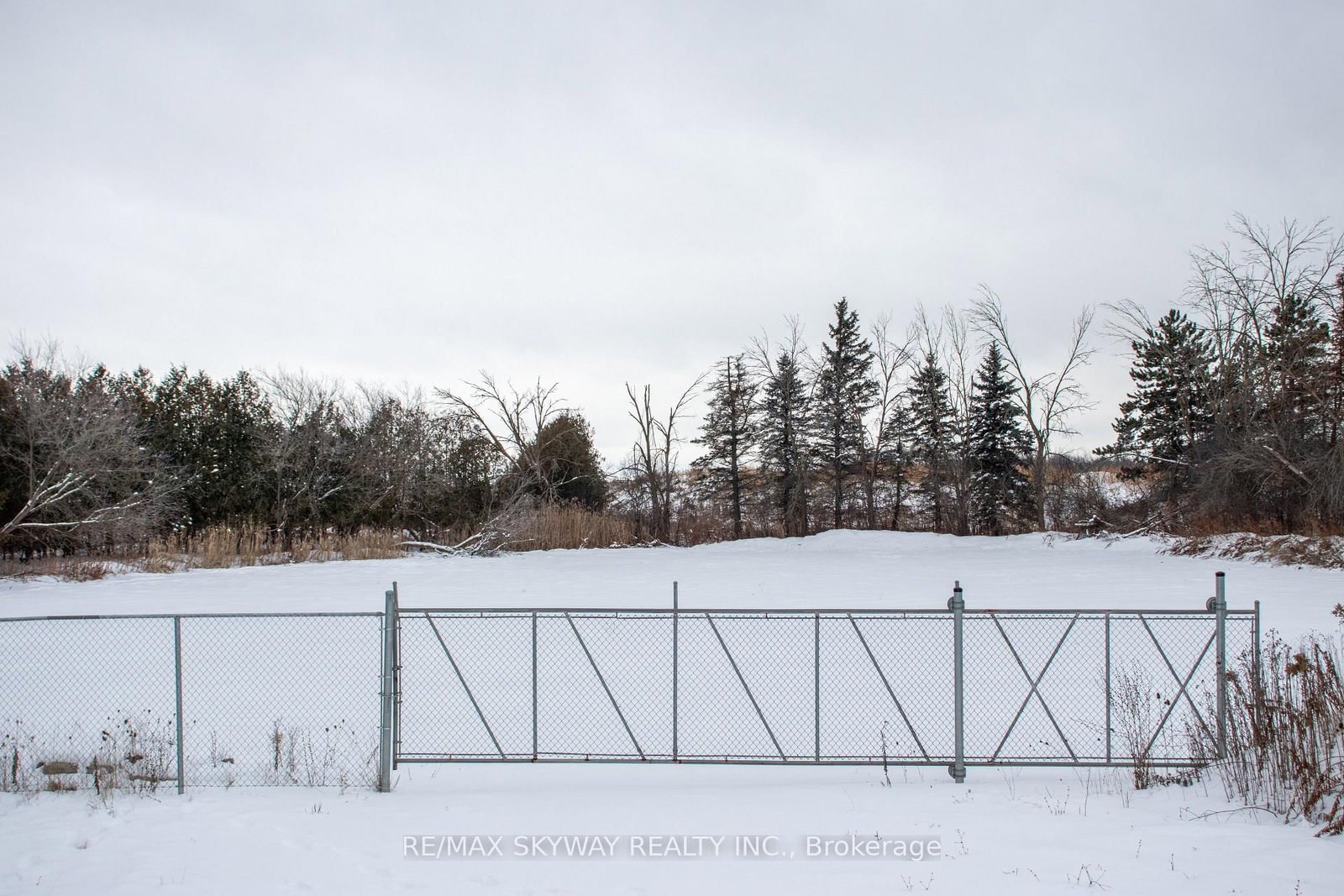 14182 Highway 50 - Photo 6