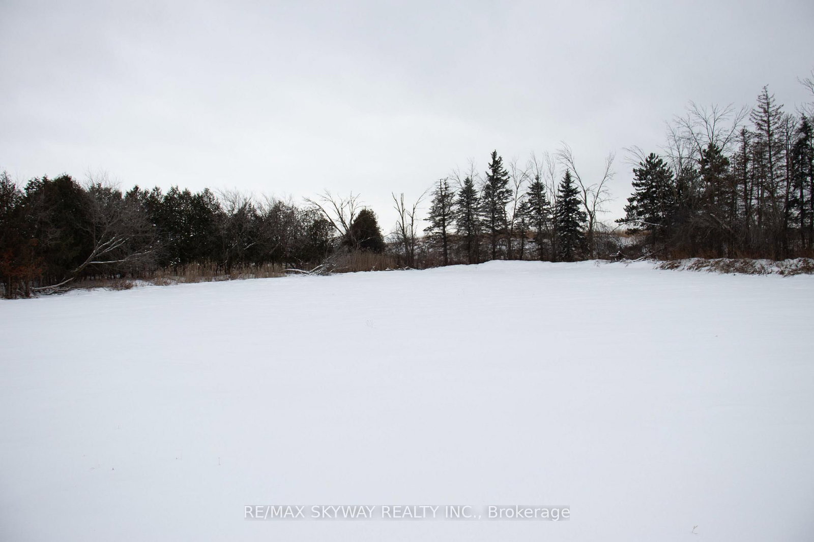 14182 Highway 50 - Photo 9