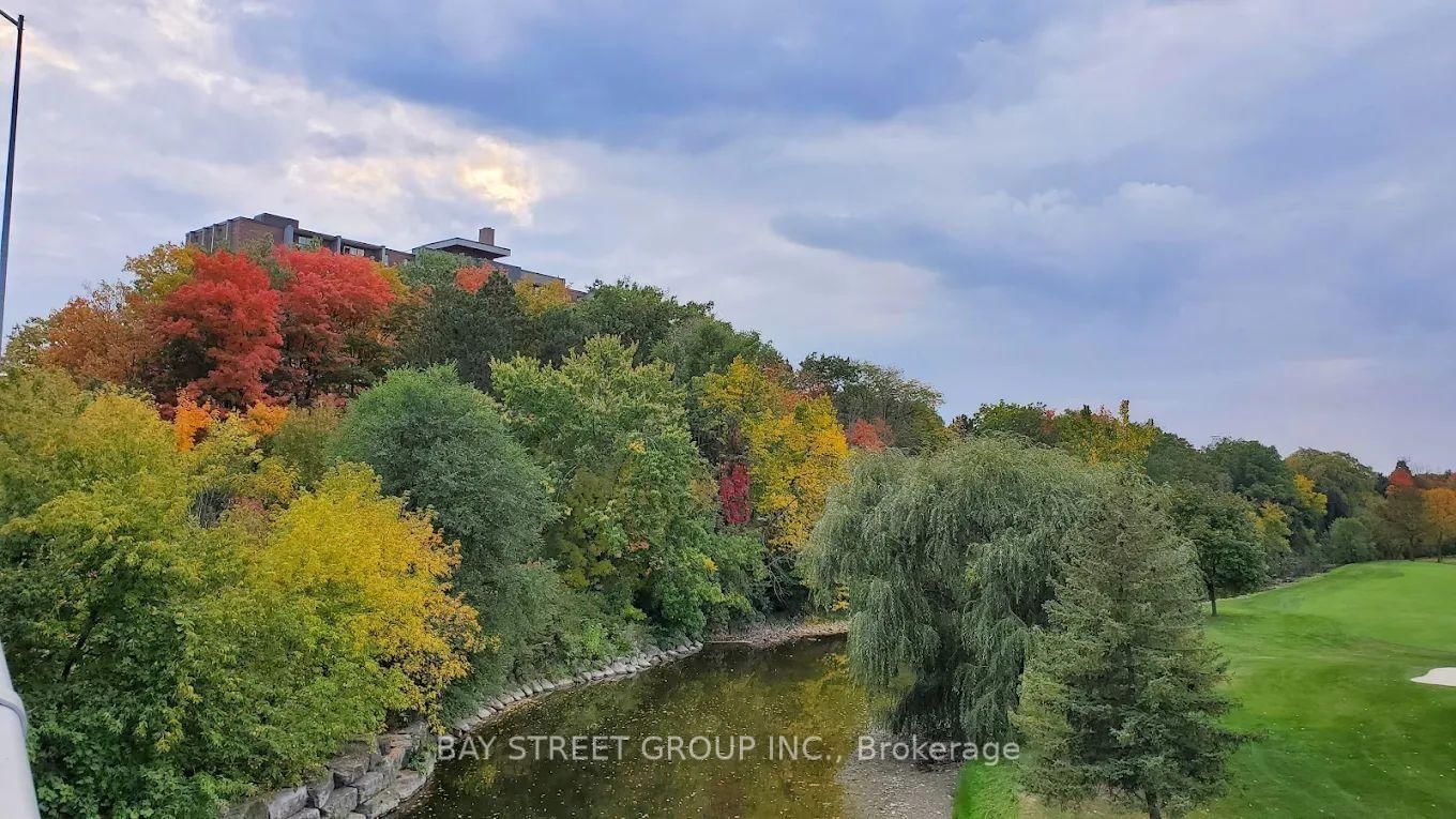 238 The West Mall - Photo 13