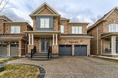Basement - 9 Iguana Tr | Brampton | Image