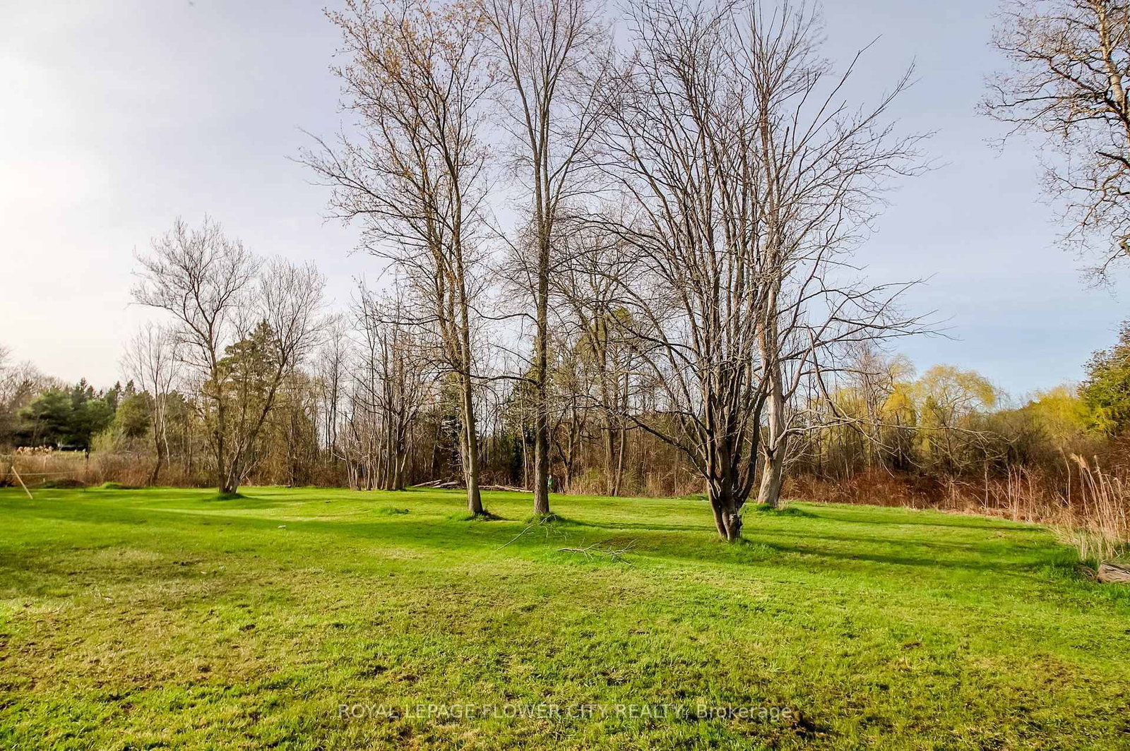 7555 Old Church Road • Caledon, ON photo 40
