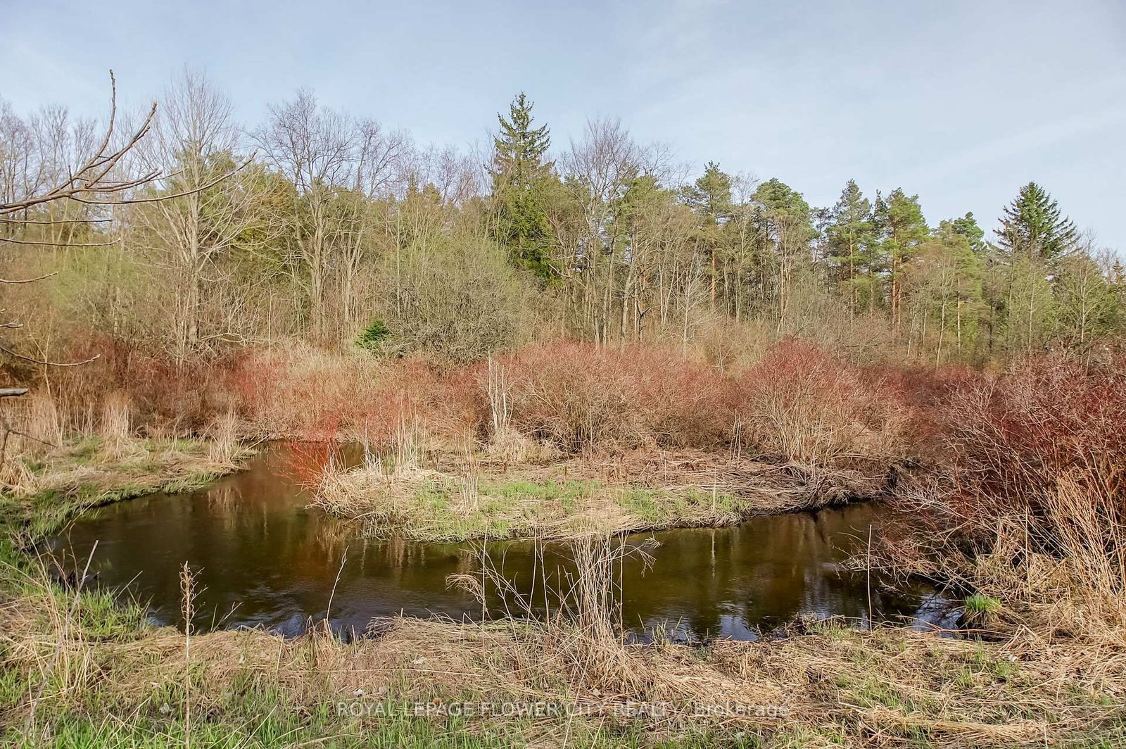 7555 Old Church Road • Caledon, ON photo 42