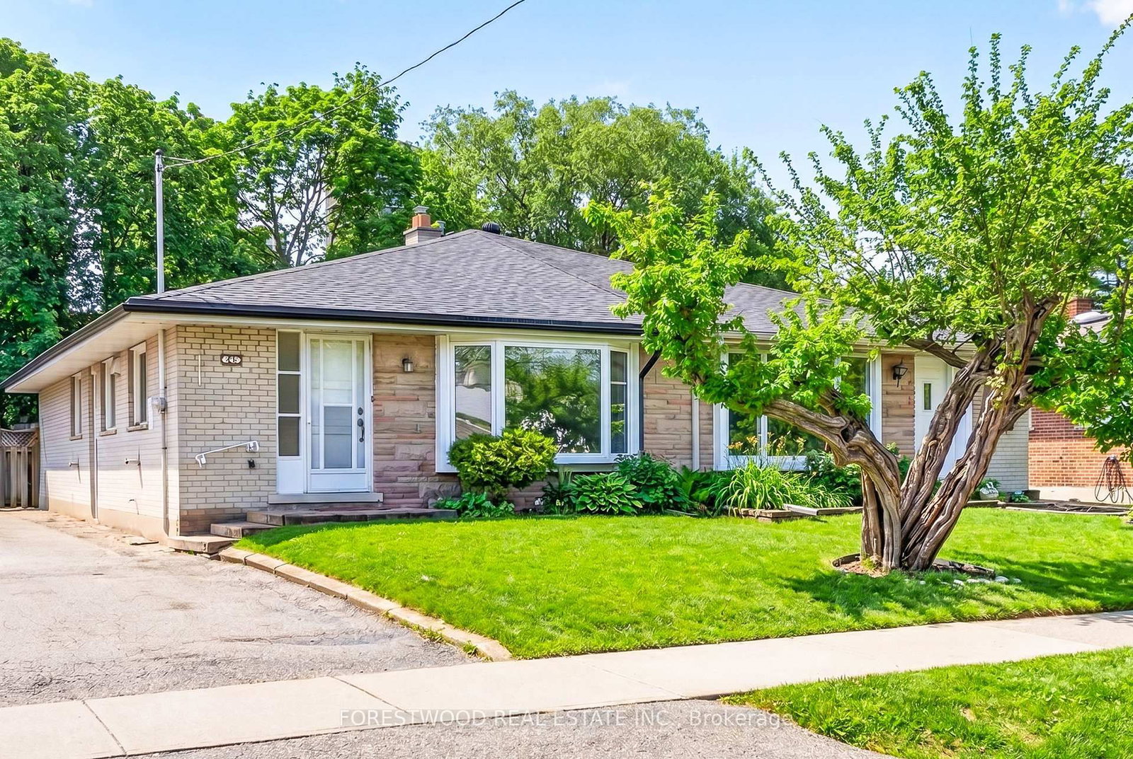 Property at 22 Lormar