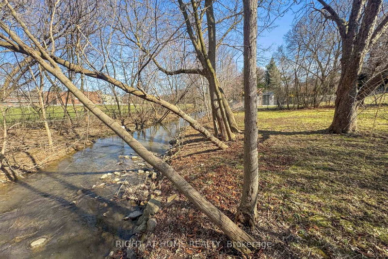 15 Pioneer Mississauga,ON L5M 1G8 — Photo 21