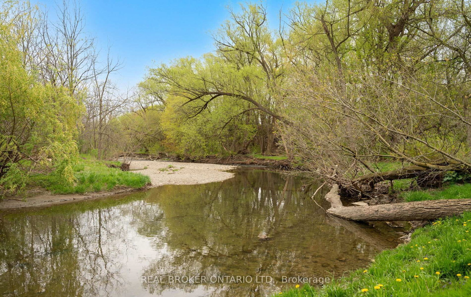 37 Lorraine Gardens - Photo 50