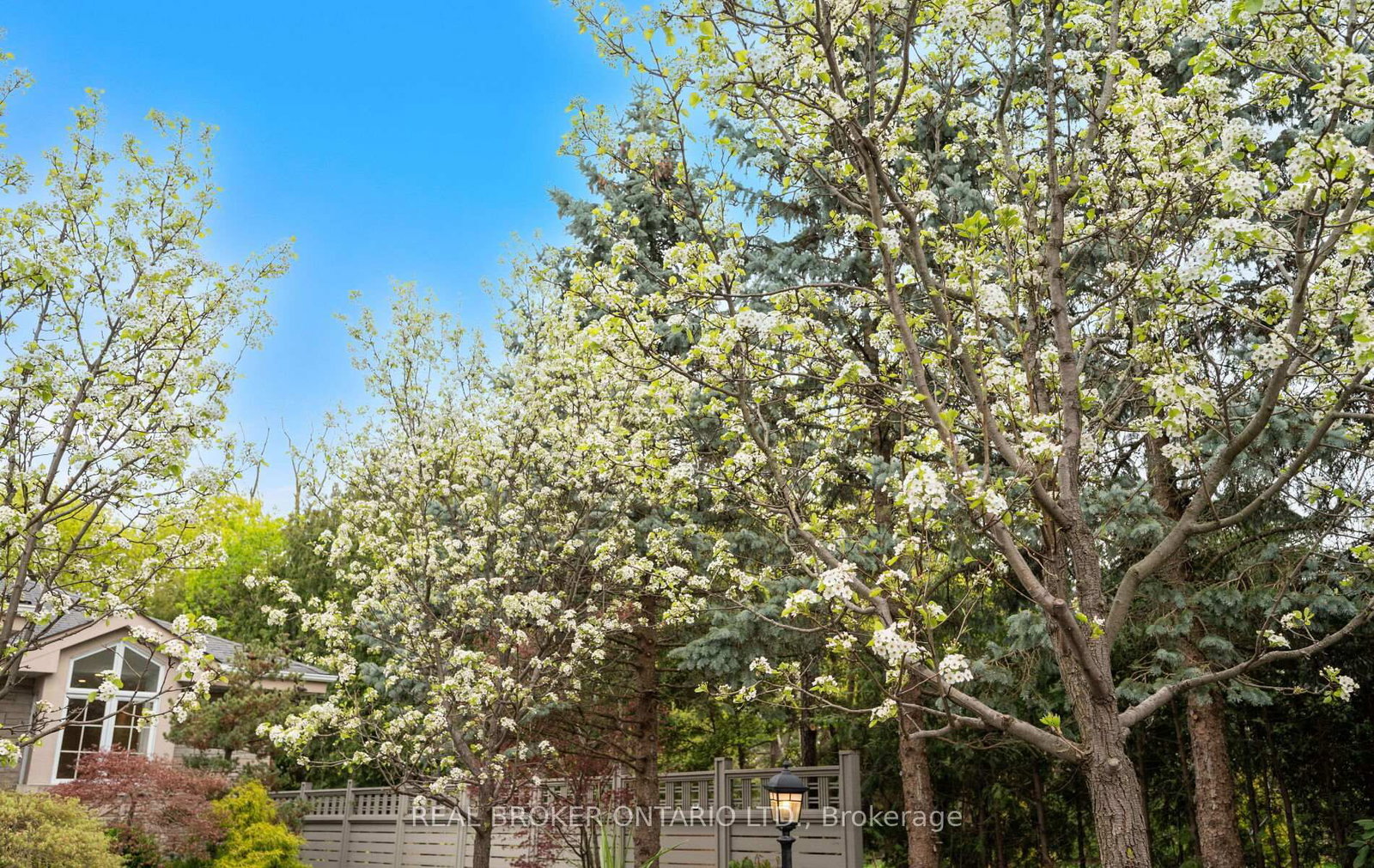 37 Lorraine Gardens - Photo 6