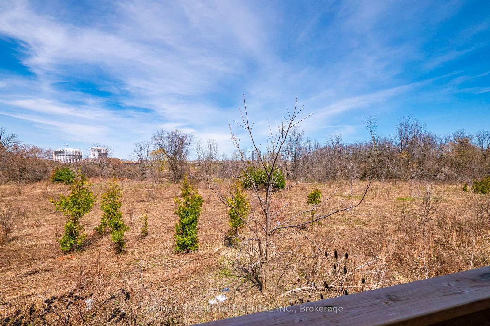 423 Royal West Drive - Photo 43