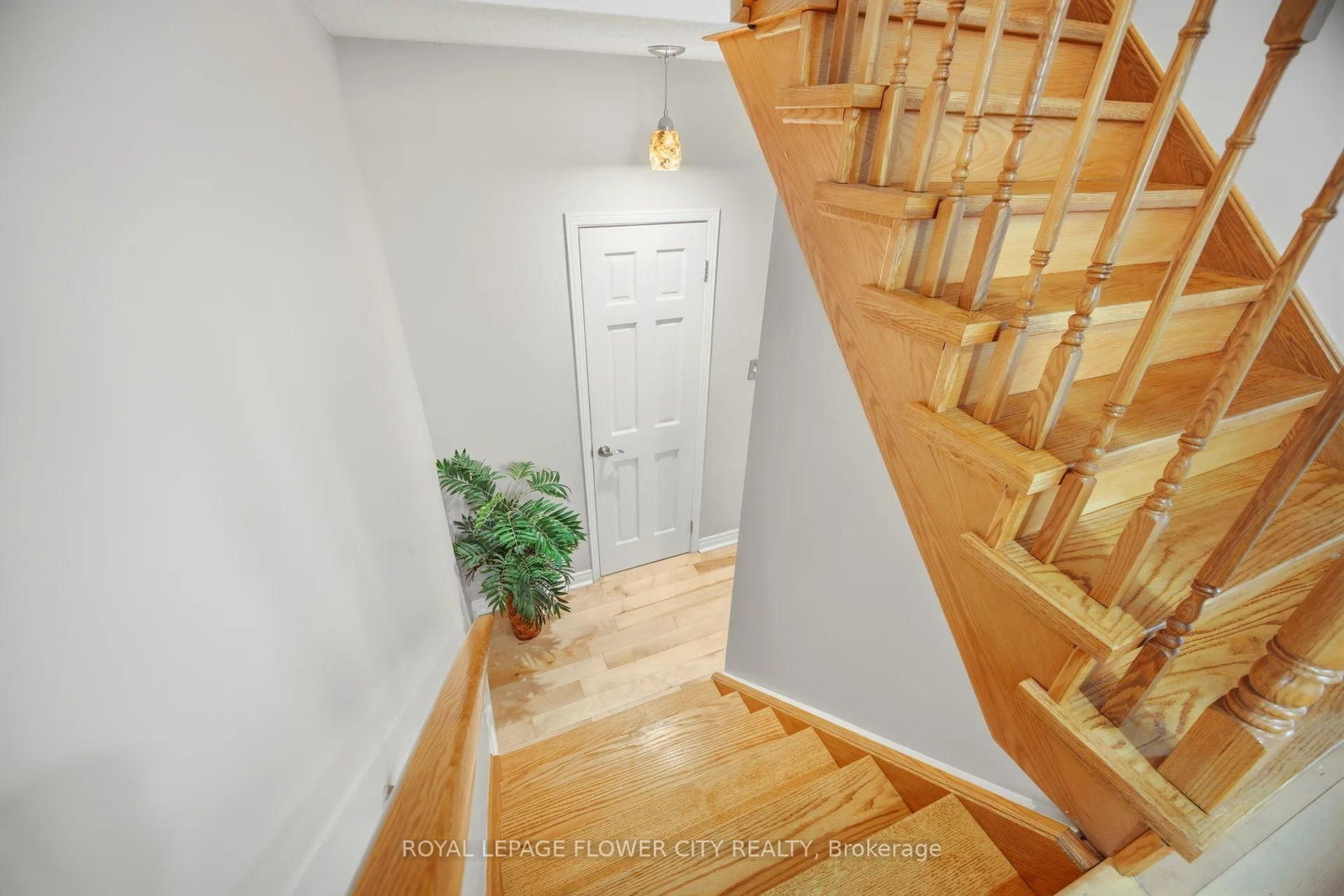 1248 Newell Street - Photo 17