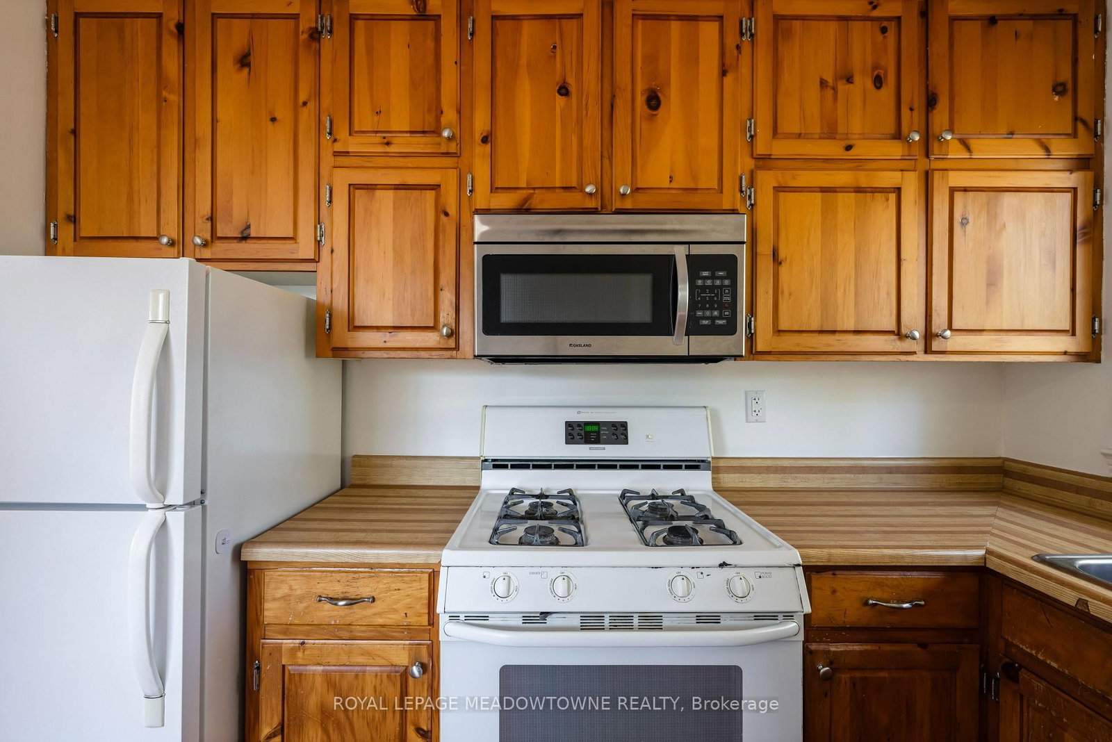 169 Longfield Road • Halton Hills, ON photo 20