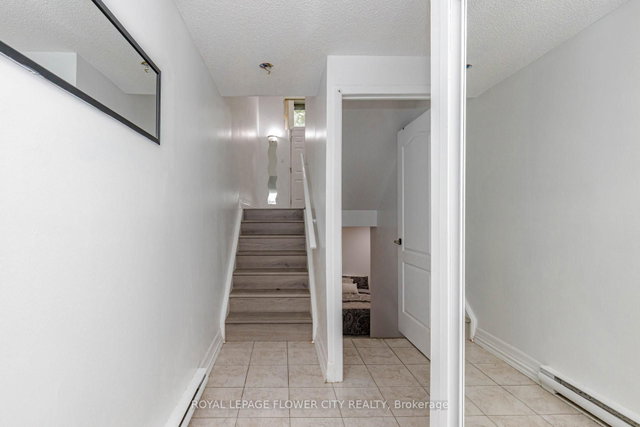 42 Briar Path