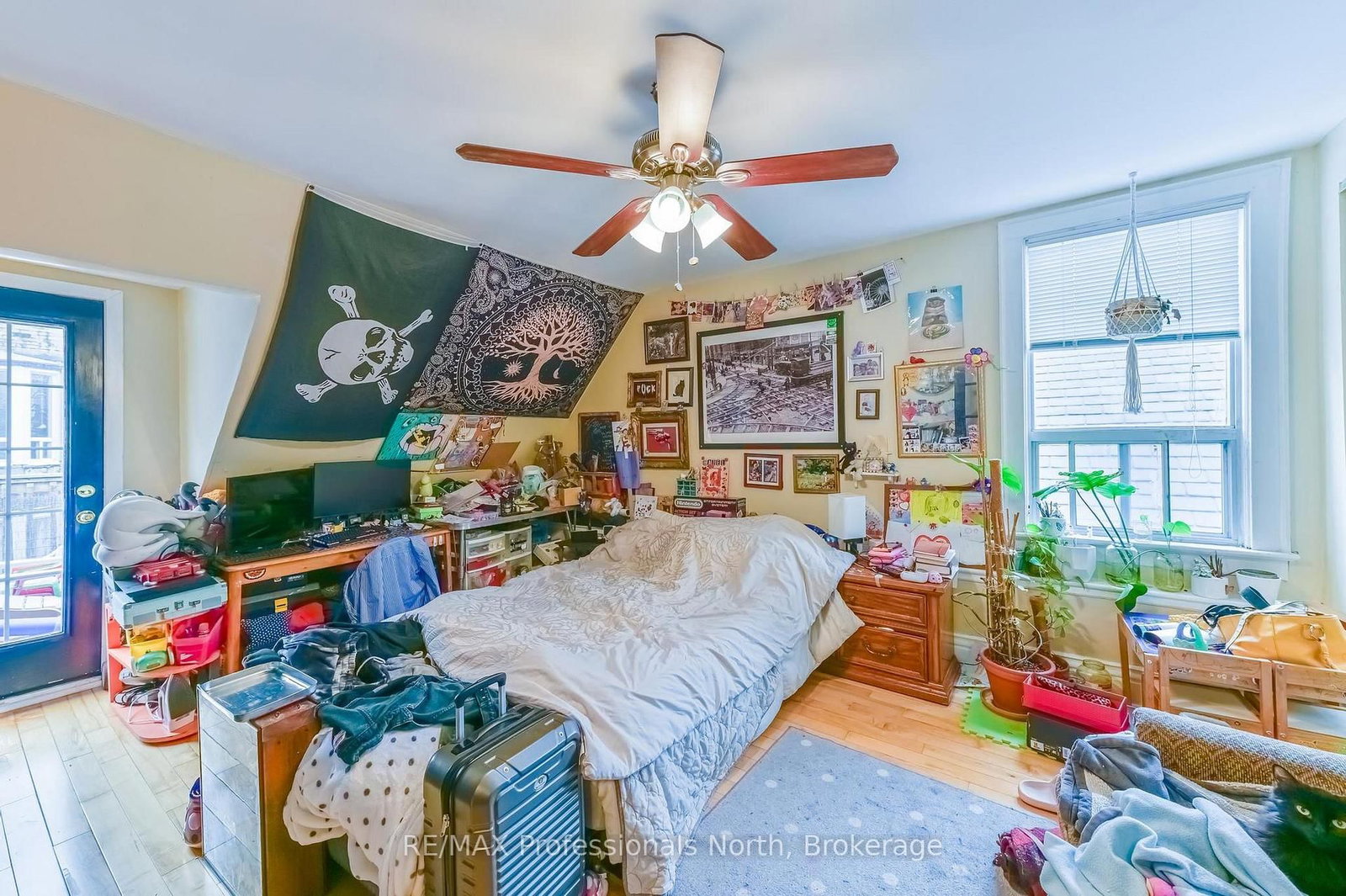 3 Maynard Avenue • Toronto, ON photo 47