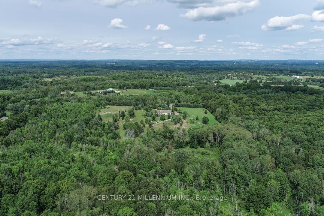 17218 Innis Lake Road • Caledon, ON photo 10