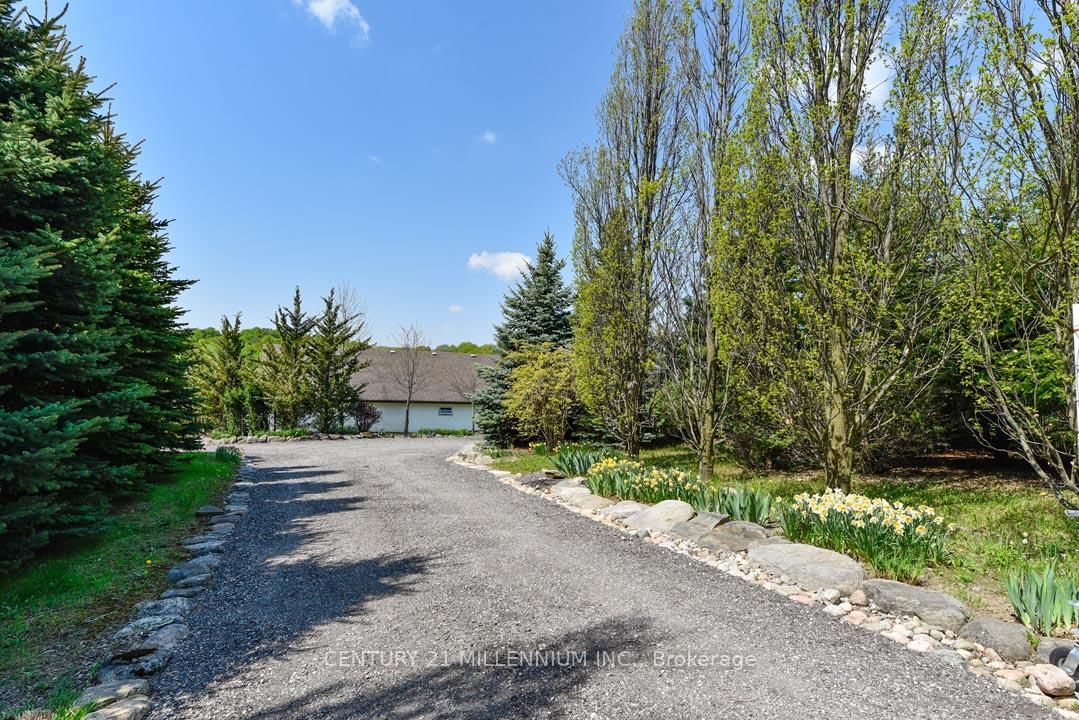 17218 Innis Lake Road • Caledon, ON photo 17