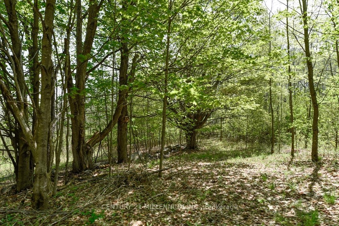 17218 Innis Lake Road • Caledon, ON photo 26