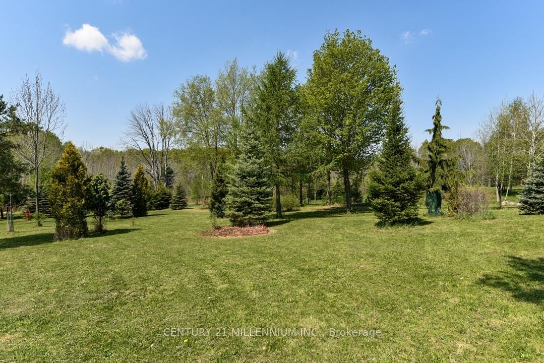17218 Innis Lake Road • Caledon, ON photo 31