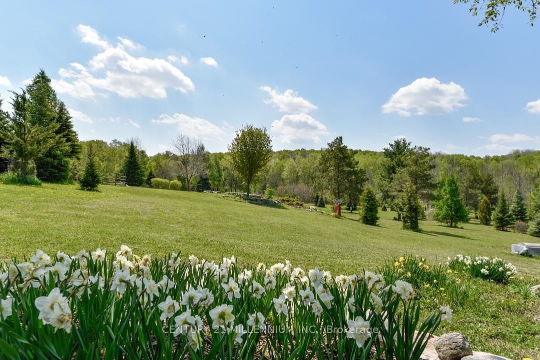 17218 Innis Lake Road • Caledon, ON photo 5