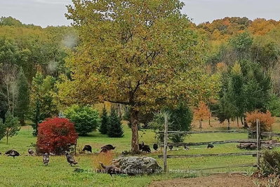 17218 Innis Lake Road • Caledon, ON photo 8