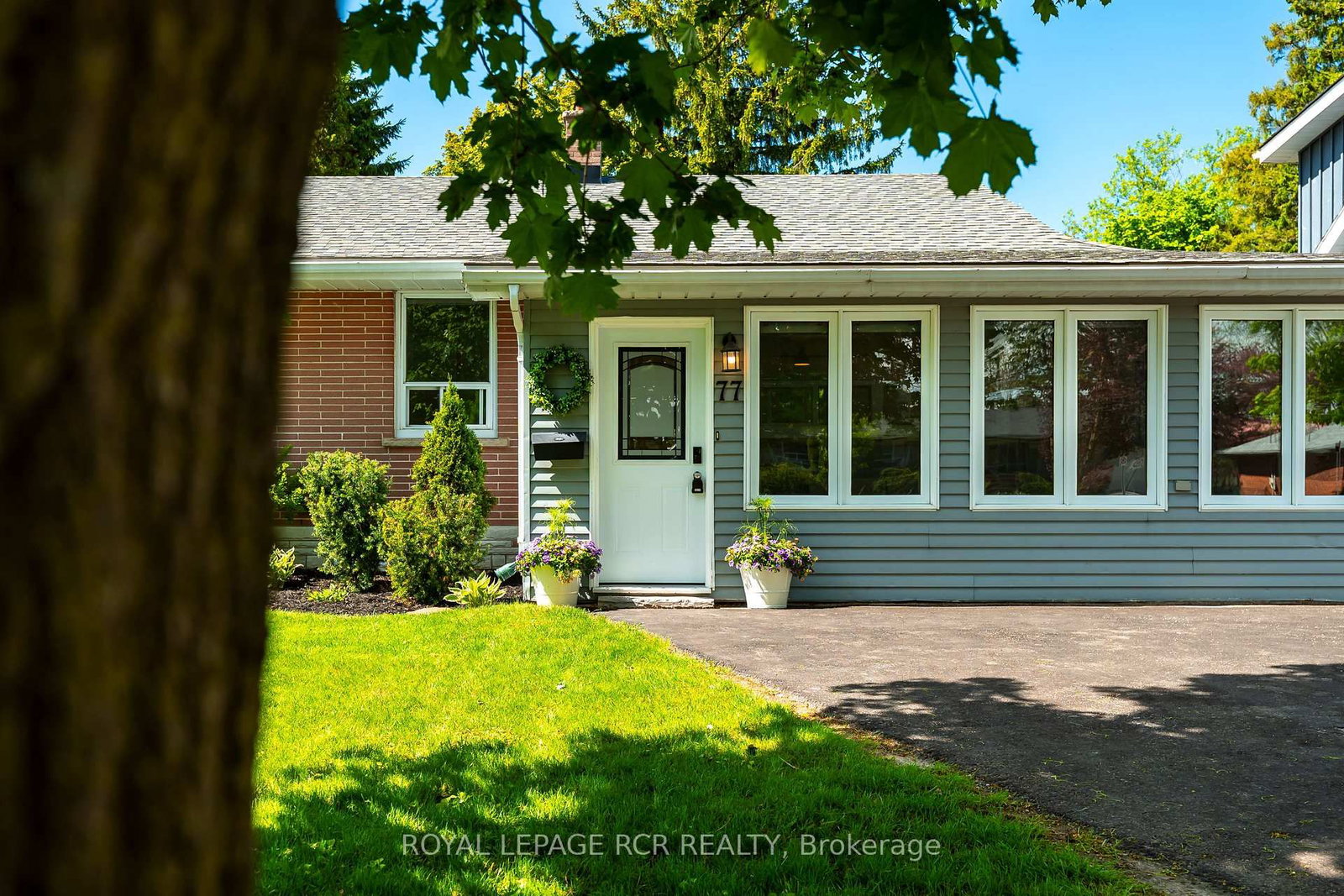 77 Zina Street • Orangeville, ON photo 4