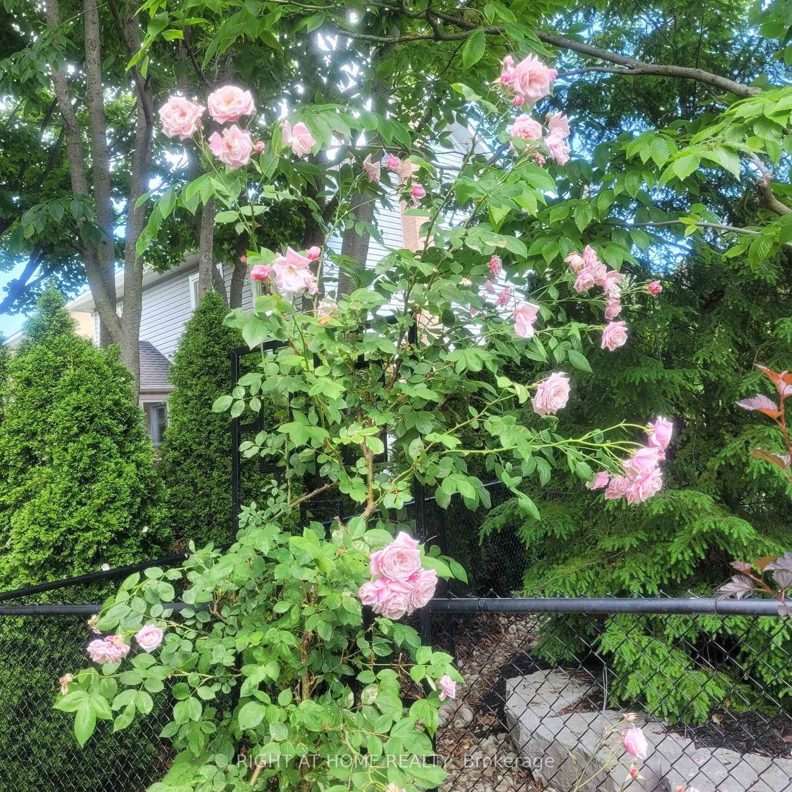 2069 N Waterbridge Drive • Burlington, ON photo 47