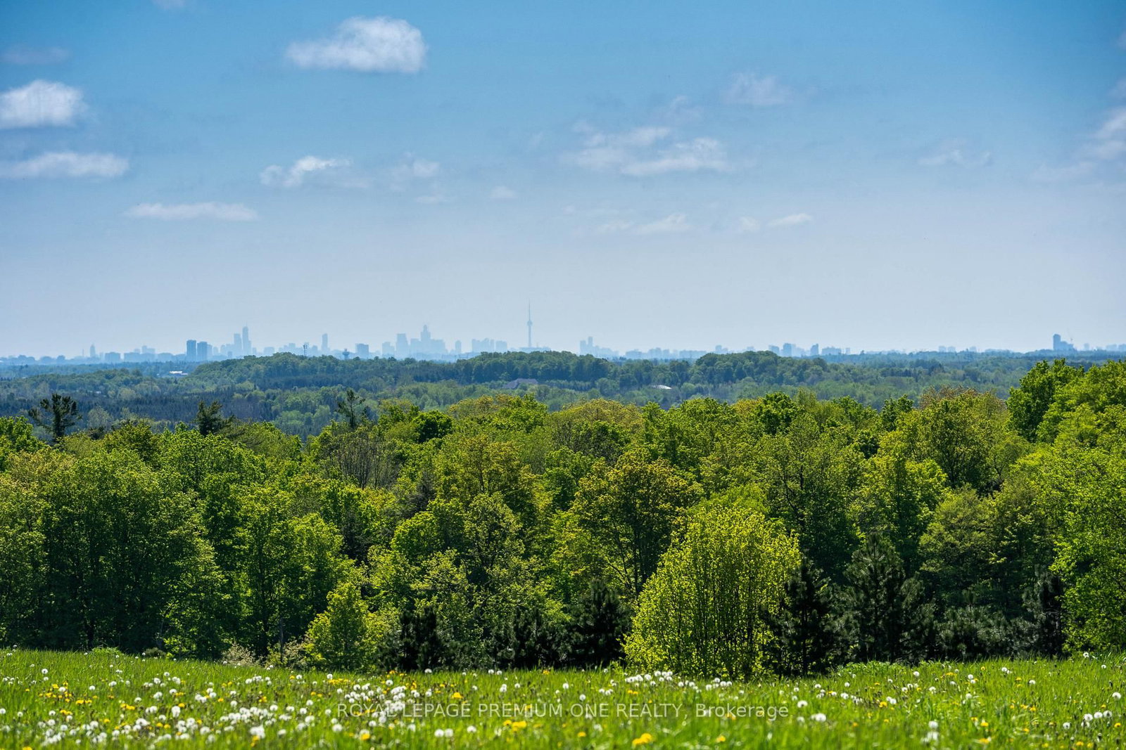 10375 Old Church Road • Caledon, ON photo 10