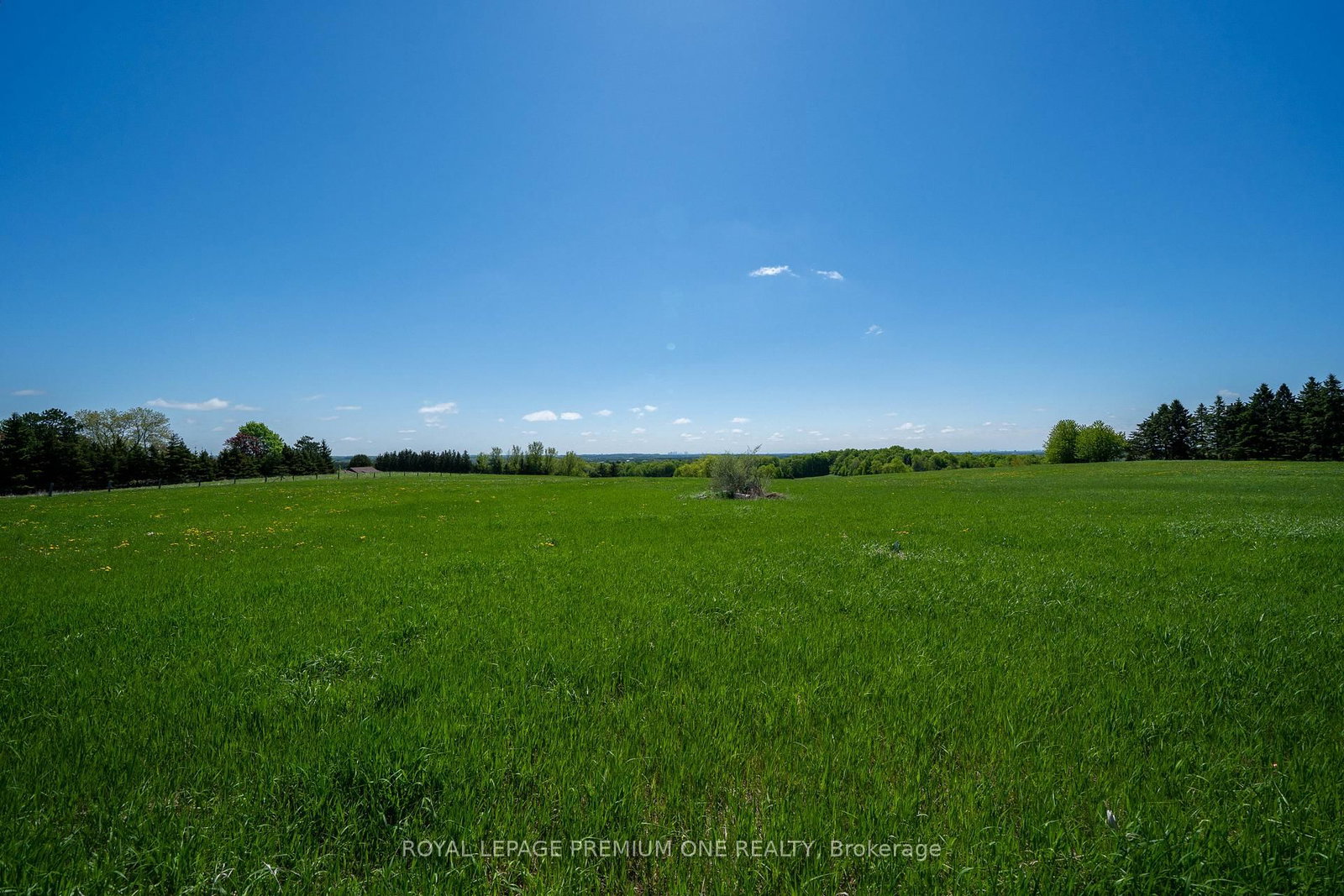 10375 Old Church Road • Caledon, ON photo 11