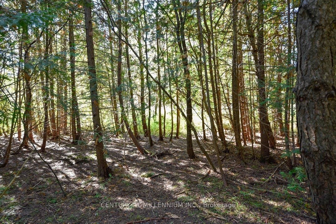 19976 Kennedy Road • Caledon, ON photo 49