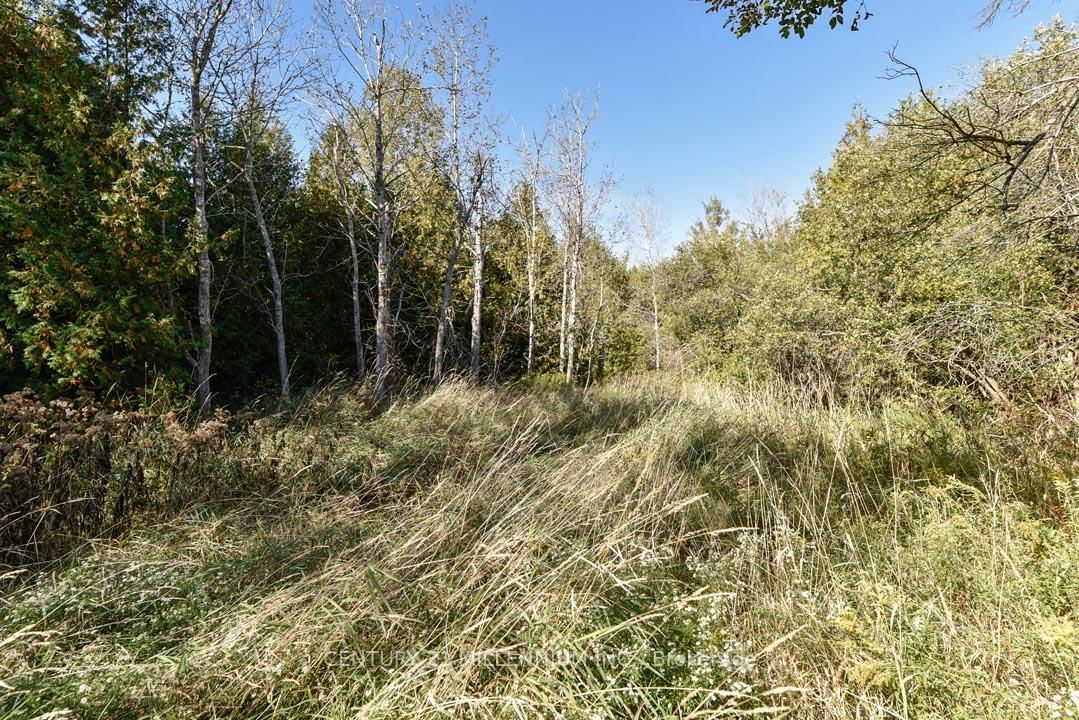 19976 Kennedy Road • Caledon, ON photo 50