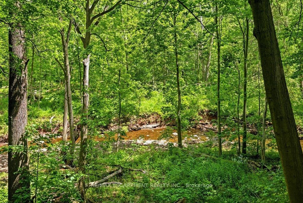 277 Shoreacres Road • Burlington, ON photo 43