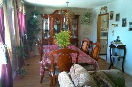 137 Beech St, Brampton, L6V2Z2 | Image 3