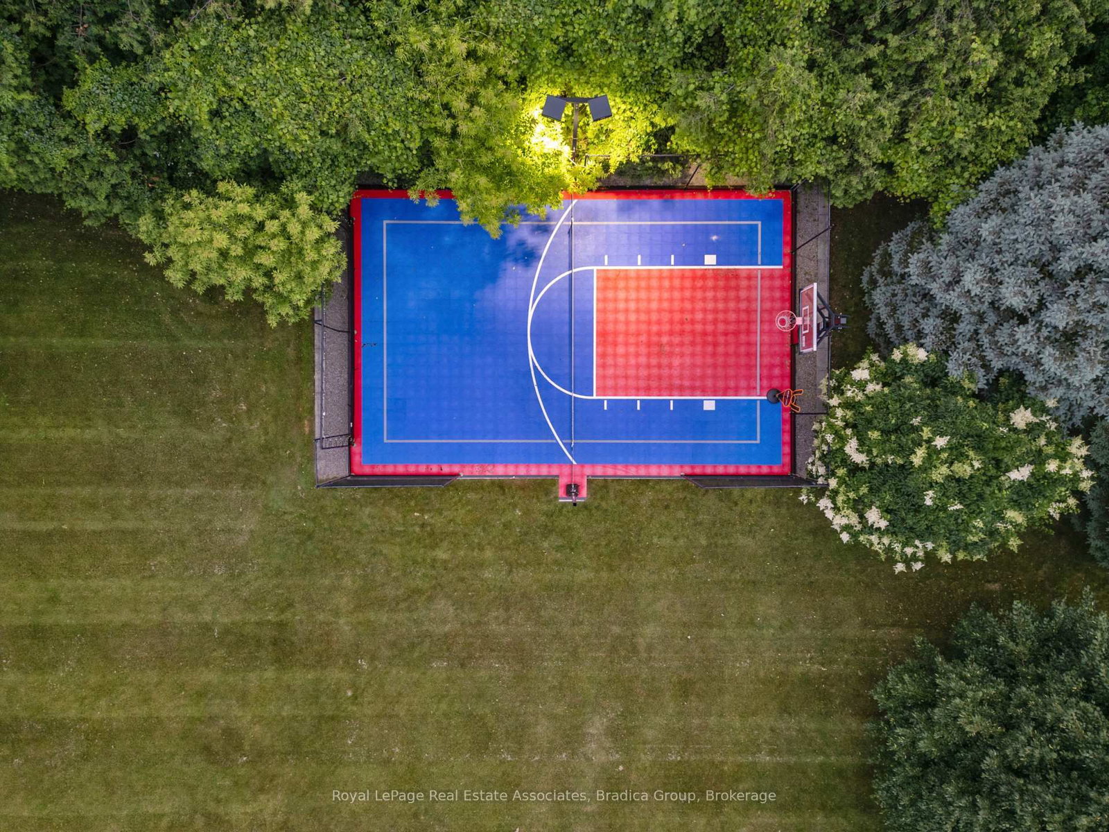 19 Lorraine Gardens • Toronto, ON photo 43