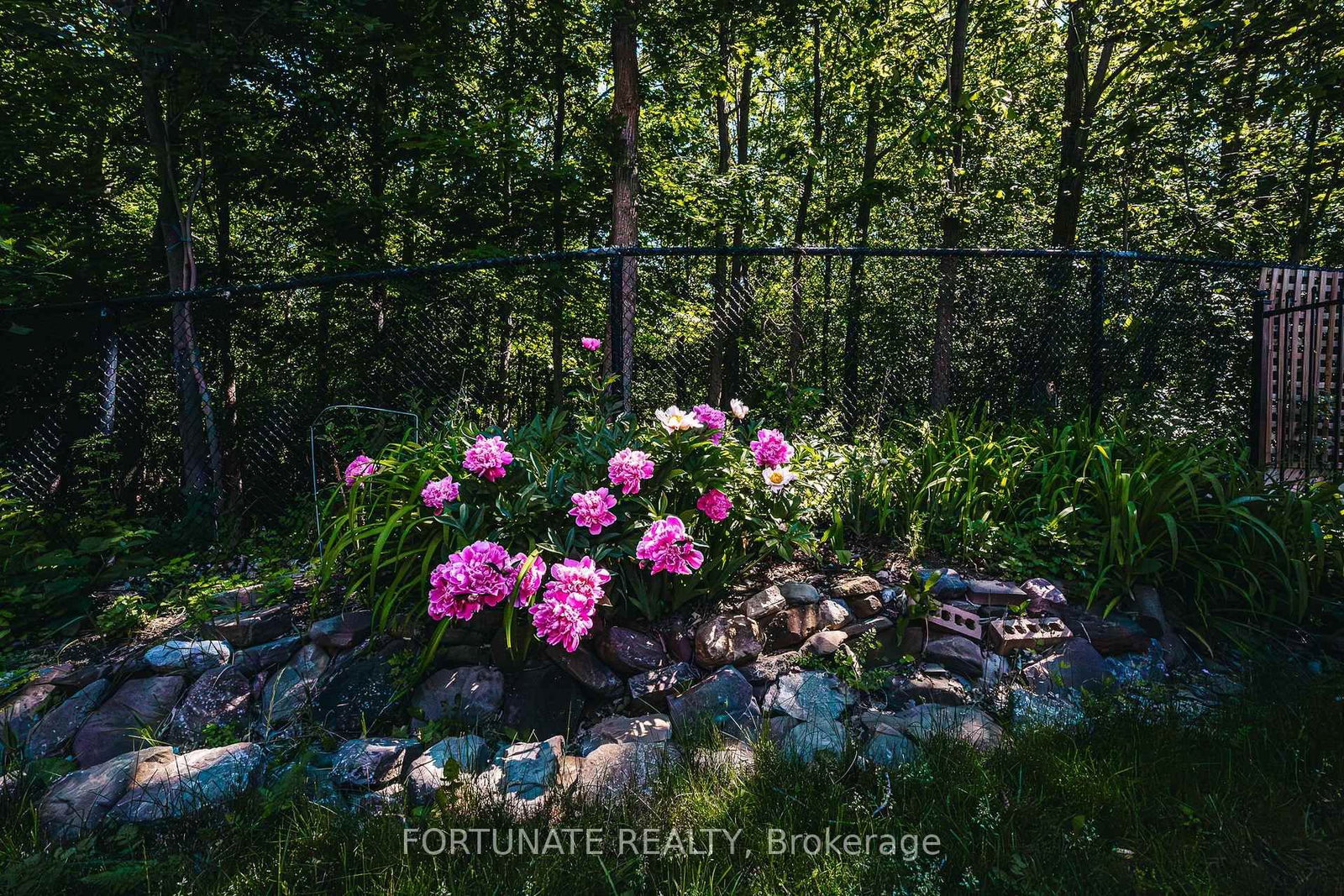 5175 Misty Pine Crescent • Mississauga, ON photo 31