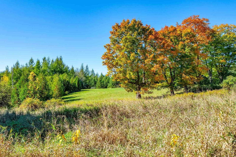15910 South Lot of 15910 Mississauga Road