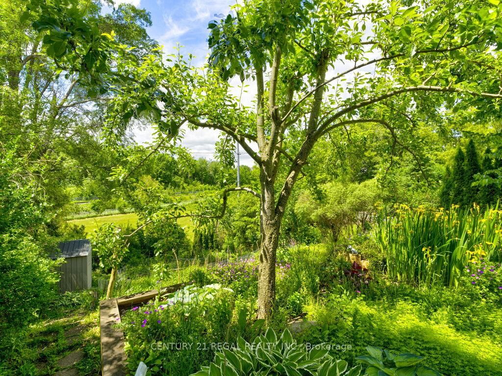 122 Longfield Road • Halton Hills, ON photo 39
