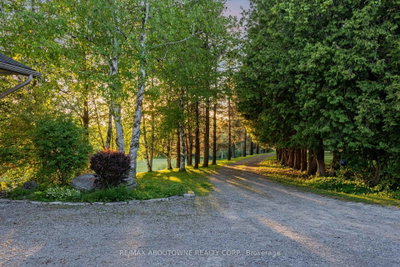 2360 8 Side Road • Burlington, ON photo 9